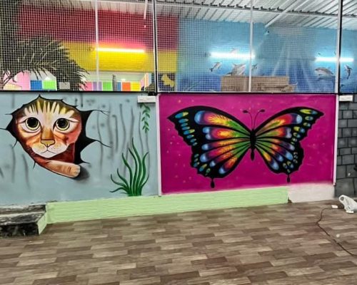 WhatsApp Image 2026-01-29 at 12.36.08 PM (3)